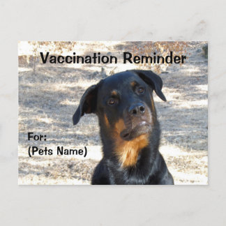 Postal de Rottweiler recordatorio de vacunación