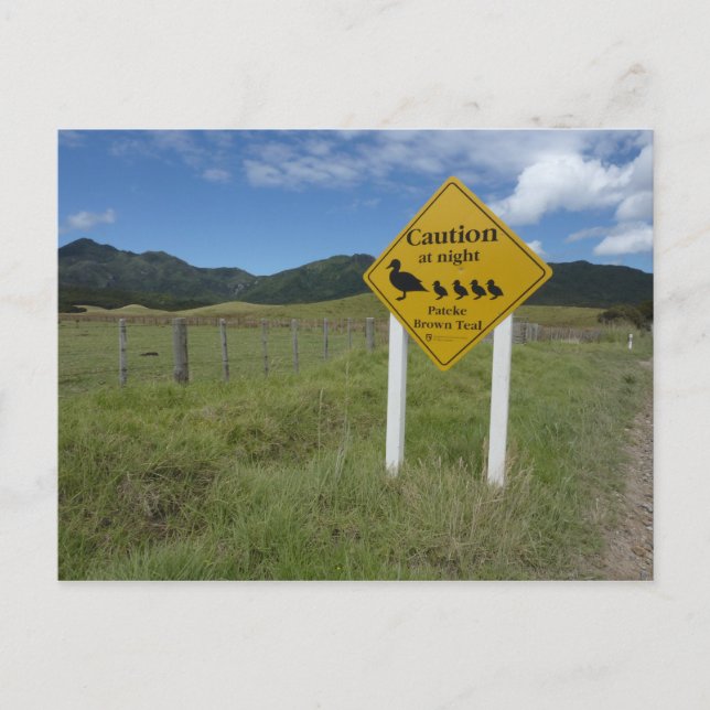 Postal de Rótulo de Pateke 3 (Anverso)