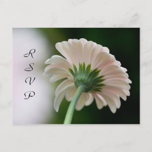 Postal de RSVP