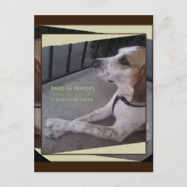 Postal de Ruedas de Perro de Oración (Anverso)