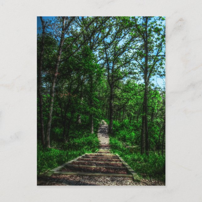 Postal de ruta de vida (Anverso)