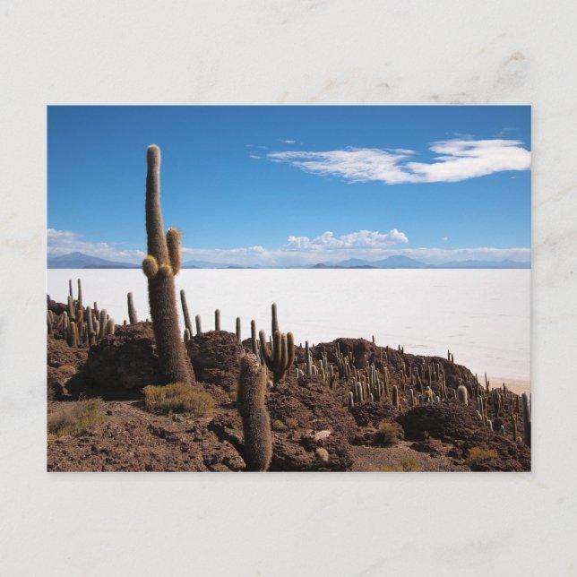 postal de Salar de Uyuni cactus (Anverso)