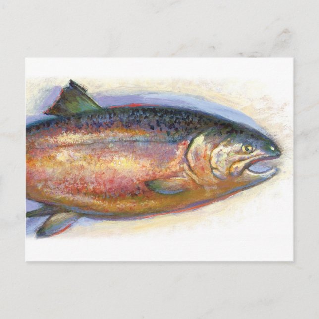 postal de Salmon (Anverso)