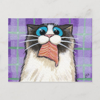 Postal de Salmon para comer gato con queso