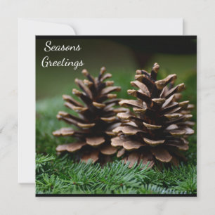 Postal de saludos de la temporada de Pine Cone