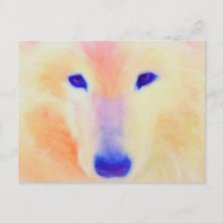 postal de Samoyed