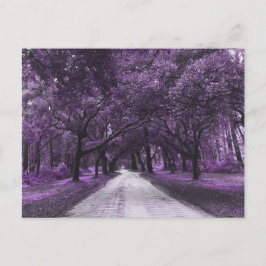 postal de santee road