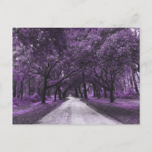 postal de santee road