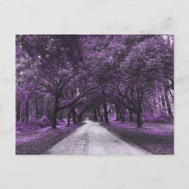 postal de santee road (Anverso)