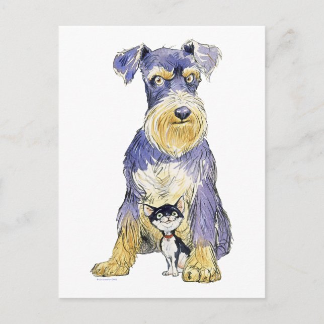postal de Schnauzer y Kitten (Anverso)