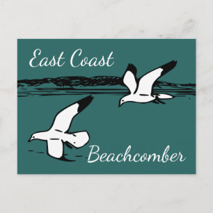 postal de Seagull Beach East Coast Beachcomber