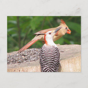 Postal de semilla compartida