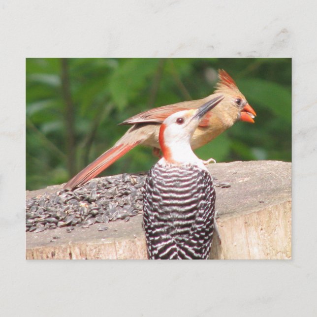 Postal de semilla compartida (Anverso)