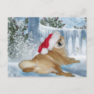 Postal de Shiba Inu del navidad