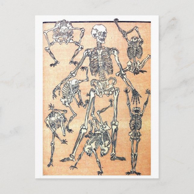 Postal de Skeleton Dance (Anverso)