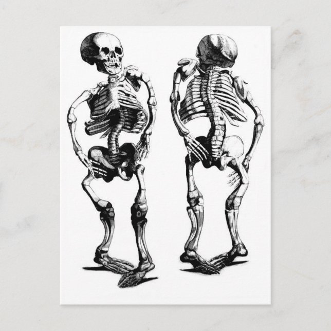Postal de Skeleton Dance (Anverso)