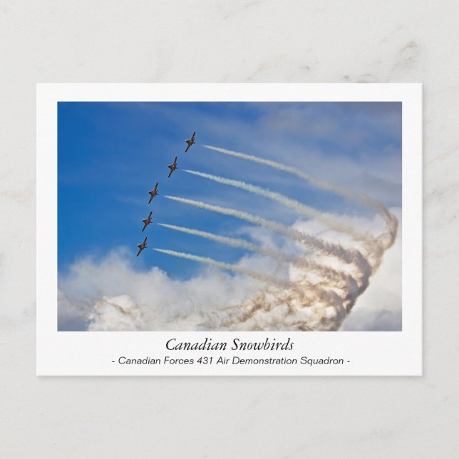 Postal de Snowbirds de Canadá (Anverso)