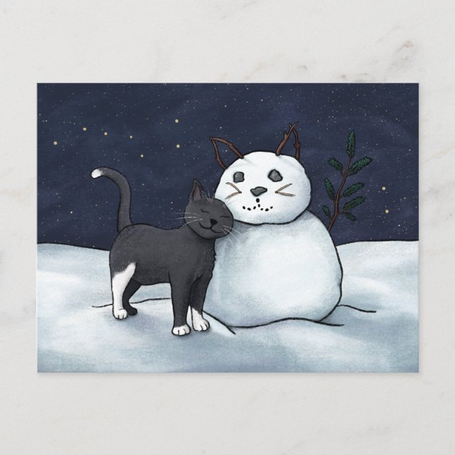 Postal de Snowman para gato - Cielo Starry de Invi (Anverso)