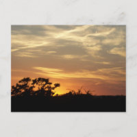 Postal de sol de Bandera Texas