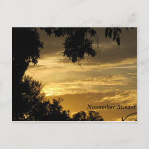Postal de sol de noviembre