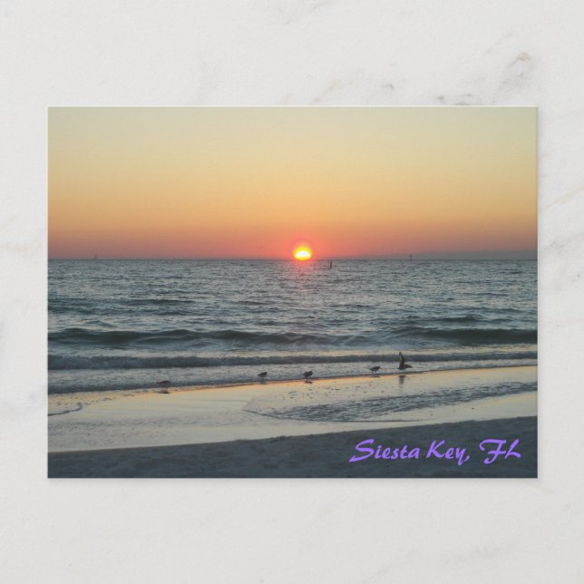 Postal de sol de Siesta Key Florida (Anverso)
