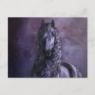 Postal de sombra negra