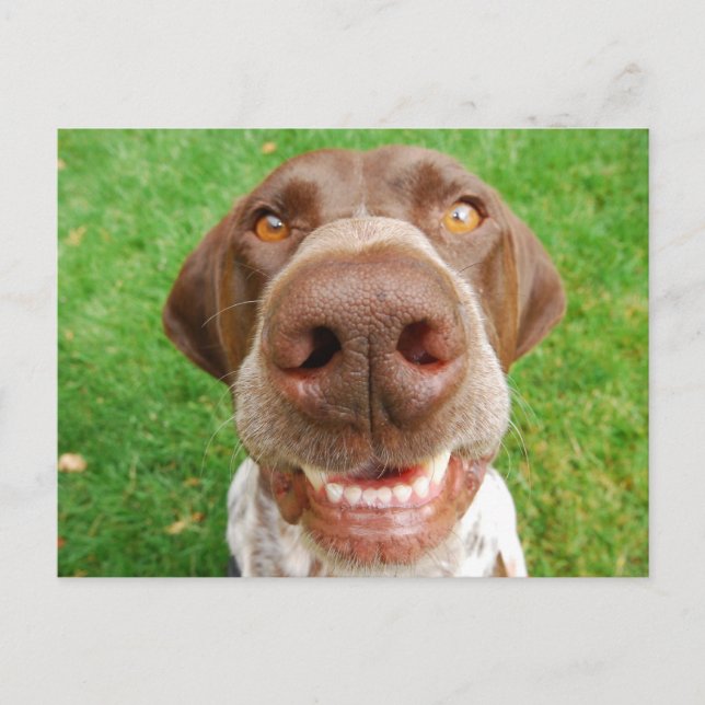 Postal de sonrisa de GSP (Anverso)