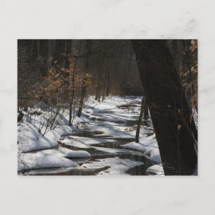 Postal de streaming de invierno