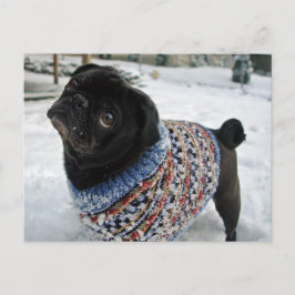 Postal de sudadera de nieve