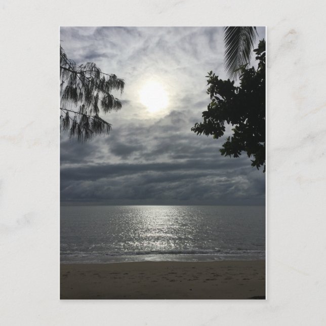 postal de sun cloud sea Palm Cove (Anverso)