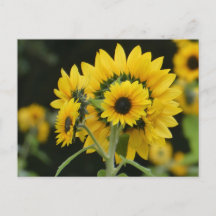 postal de Sunflowers Bouquet DIY