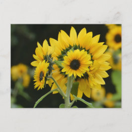 postal de Sunflowers Bouquet DIY