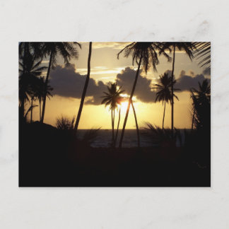 Postal de Sunrise