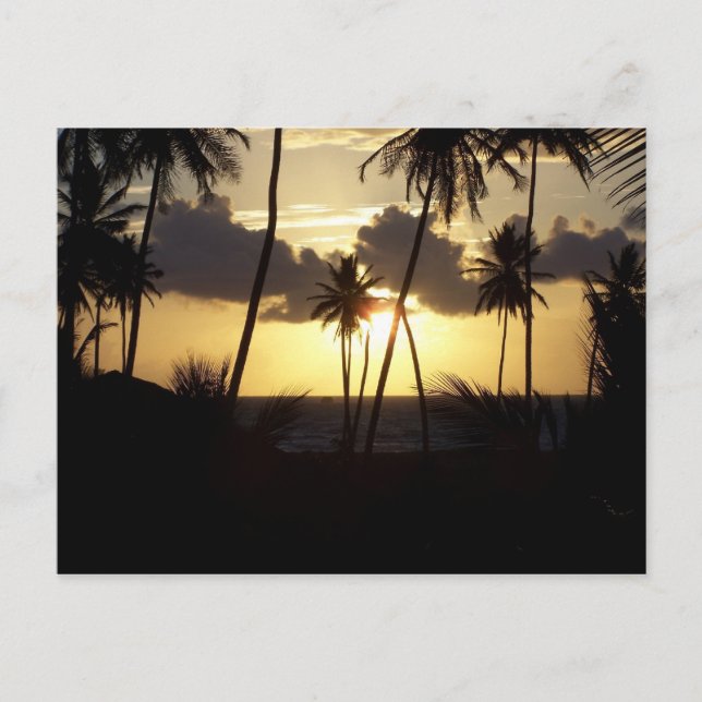 Postal de Sunrise (Anverso)