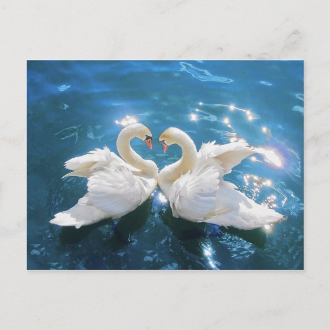Postal de Swan (Anverso)