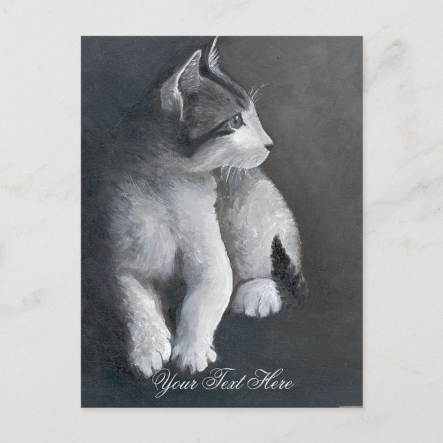 Postal de Tabby Kitten (Anverso)