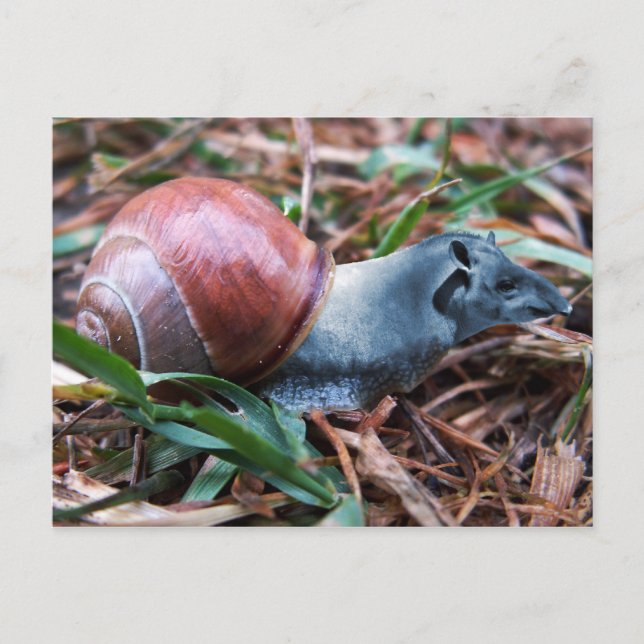 Postal de taquilla (Anverso)