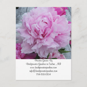 Postal de tarjeta de visita boda Florist