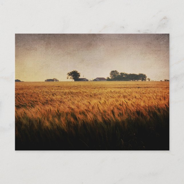 postal de Texas Farm (Anverso)