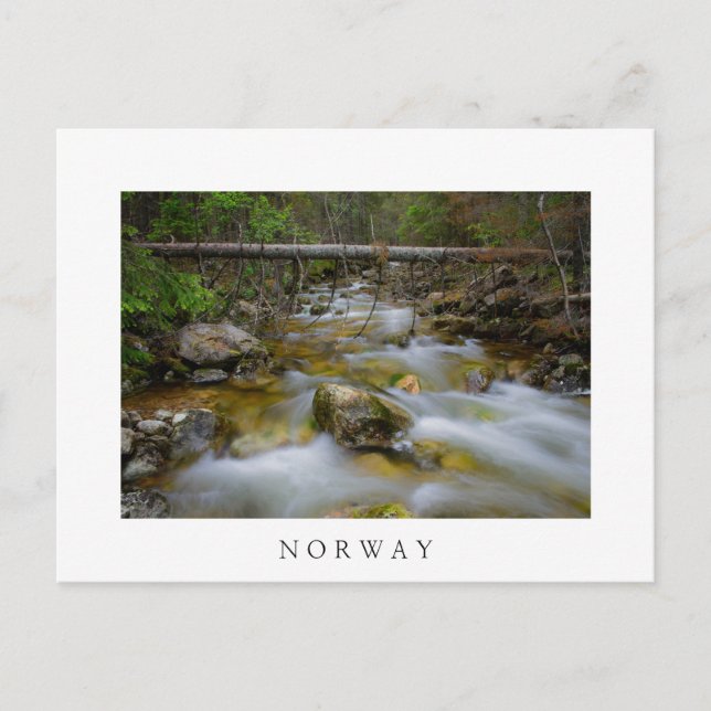 Postal de texto blanco de crema de bosque rocoso (Anverso)