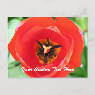 Postal de texto del Personalizado de flor de la ma