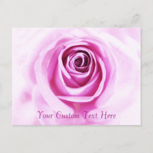 Postal de texto del Personalizado Rosa Rosa Amor