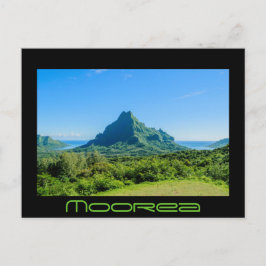 Postal de texto negro verde moro