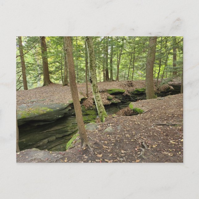 Postal de The Ledges, Cuyahoga Valley Nat'l Park O (Anverso)