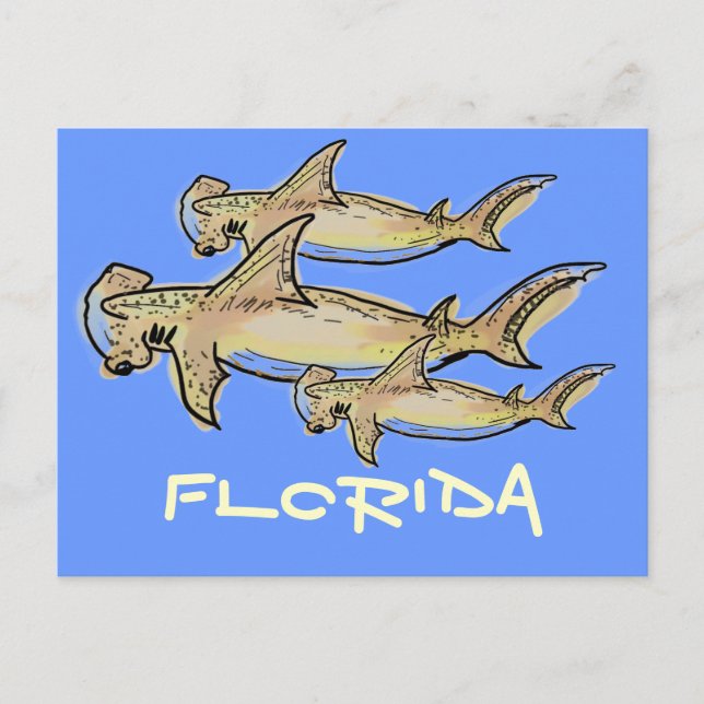 postal de tiburones martillo de Florida (Anverso)