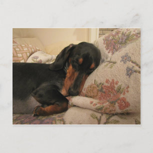 Postal de tiempo de sueño