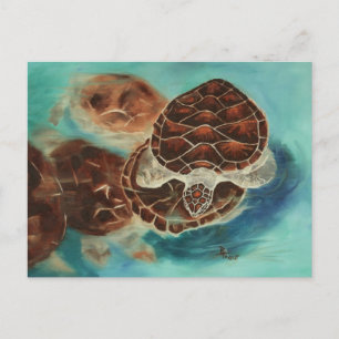 Postal de tiempo de tortuga