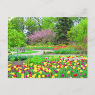 Postal de tiempo de tulipán del jardín inglés