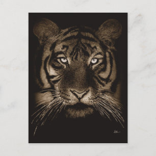 Postal de tigre
