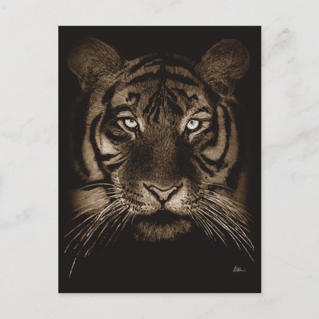 Postal de tigre (Anverso)